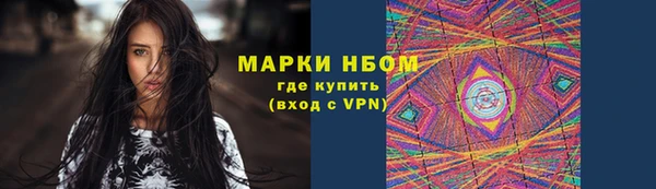 прущие грибы Алексеевка