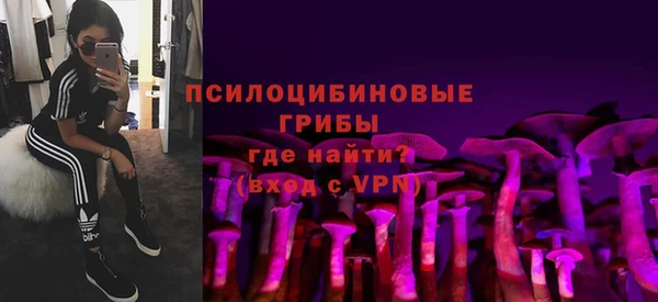 прущие грибы Алексеевка