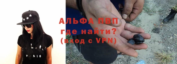 прущие грибы Алексеевка