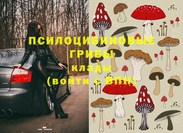 прущие грибы Алексеевка