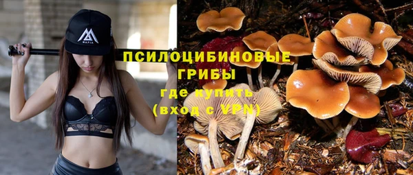 кристаллы Алзамай