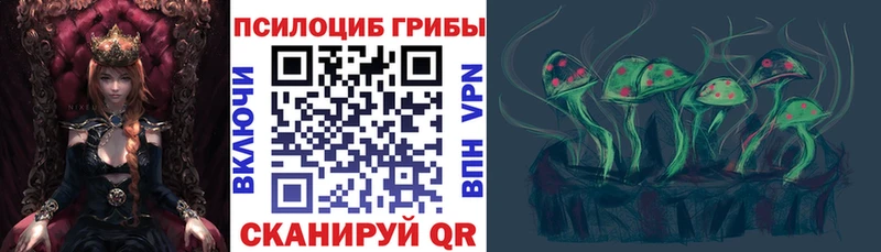 Псилоцибиновые грибы Psilocybe  магазин продажи наркотиков  Чишмы 
